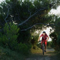 E-bike Tours in Istria